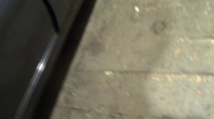 Калина 2015г.