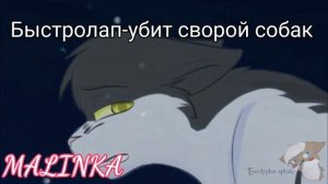 Коты воители:смерти
