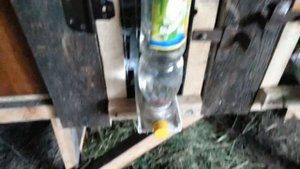 Вакуумная поилка для кроликов