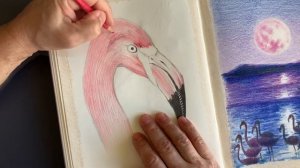 First sketchbook ever / Drawing #5 / Flamingo