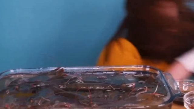 ssoyoung STRUGGLING with LIVE food..