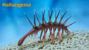 10 Уникальных животных, которые вымерли!