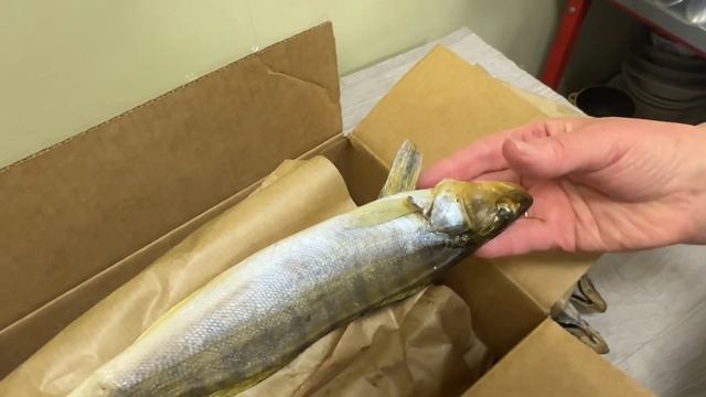 09-12-2024 смотреть онлайн