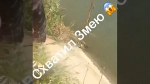 Ребенка со змеей в Дагестане едва не унесло течением на видео