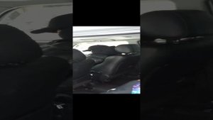 1000022414.mp4