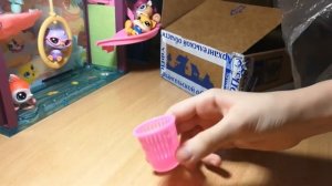 Распаковка посылки с Петшопами LPS #Littlest Pet Shop