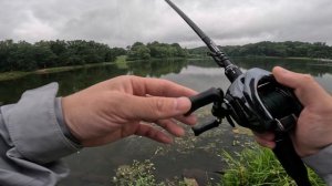 Shimano Antares DC MD 2018 | Poison Adrena 174H-lm | 水表不咬掏出 Jika rig----硬拉大鱸魚!!! #路亞 #shimano