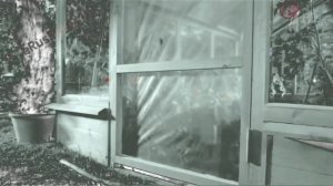 Аdvertising  Реклама Китикет Kitekat   Борис поймал пчелу In Pitch White