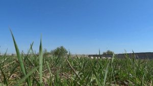 ⚡У меня есть разум, я пошёл в полях резвиться⚡