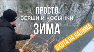 ВЕРШИ И КОСЫНКИ «ОХОТА НА НАЛИМА» ЧТО СМОГУ ПОЙМАТЬ НА ВЕРШИ И КОСЫНКИ ЗИМОЙ ?