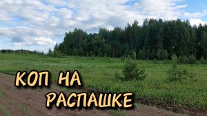 Коп на распашке с металлоискателем TX 850