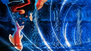 6. Ода Карелии. Карелия. Страна СВЕТА-2024