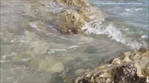 🧜#Орджоникидзе Отдых в Крыму Орджоникидзе Набережная Пляжи Большие чебуреки в Еде!