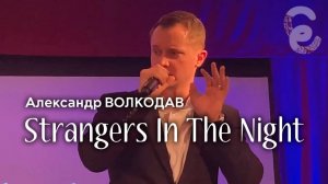 "Strangers In The Night" Александр Волкодав - Егорьевский музей 7.12.24 #cover #franksinatra