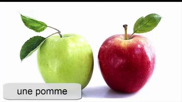 Les Fruits Les Légumes Les Herbes