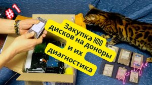 Купил неисправные HDD на доноры: тестируем их работоспособность - 1 часть