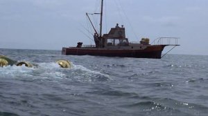 Jaws (1975) - Racing Back to Shore