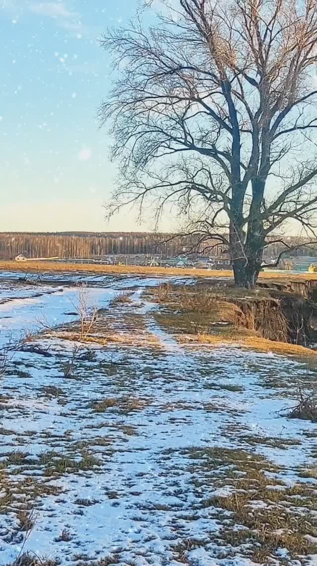 07-12-2024 жизнь в деревни смотреть онлайн