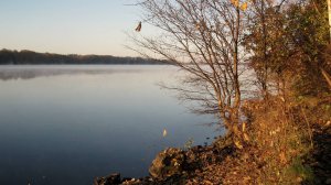 Позитивные фотографии для поднятия настроения под песни Бременских музыкантов