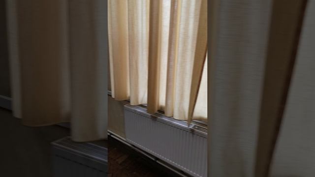 Кунсткамера Санкт-Петербург