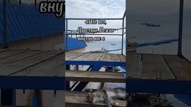 Евангелие в цитатах🕊️Отдыхайте с пользой для души🤍 смотреть онлайн