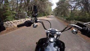 HARLEY-DAVIDSON SOFTAIL STANDARD (2024): GREZZA ED ESSENZIALE! - Test Ride ITA