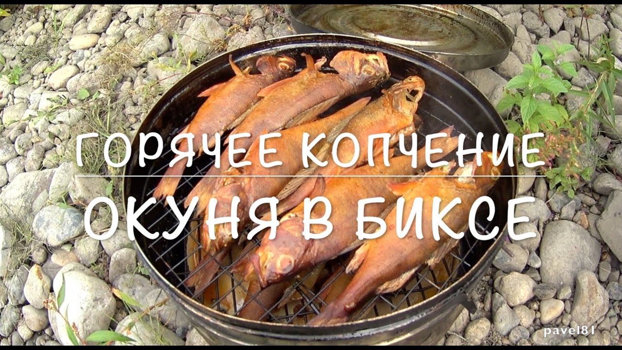 // Горячее копчение окуня в биксе //
