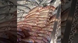 рыбный рынок в Алании