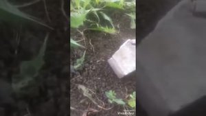 Как взорвать с помощью молотка аккумулятор пальчиковый