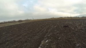 охота заяц Краснодарский край