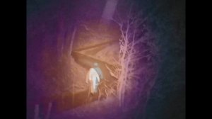 HYDRA THERMAL FUSION NIGHT-VISION by DIYCON