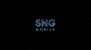 Разработка логотипа для бренда  SNG