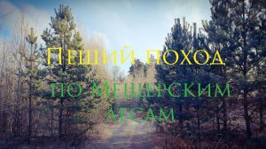 ПЕШИЙ поход по Мещерским лесам 🌲🌲🌲 Беливо - Степановка  - Мальково - Рудне Никитское - Авсюнино