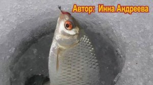 По мамину хотению, по Божиему велению.