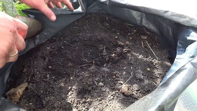 Выращивание кабачков и огурцов в мешках