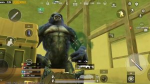 вынос с радки) (3 карта много крыс)