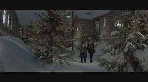 Старый клен - Л.Овчинникова и Н.Погодин (цвет)