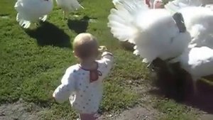 гули  гули  гули !!!!!!!!!!!!!