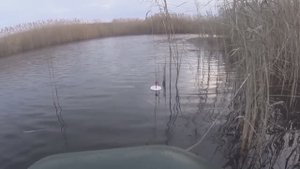 ЩУКА ТАСКАЕТ КРУЖКИ ПО ВСЕМУ ВОДОЁМУ! Рыбалка на мелководном канале.