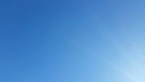 Николаевские голуби. В гостях у Вижула Виктора Владимировича