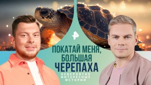 Покатай меня, большая черепаха — Невероятно интересные истории (11.06.2024)