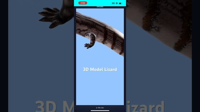 3D Model Lizard