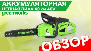 Аккумуляторная цепная пила Greenworks GD40CS20X 40см 2008807. Обзор. Основные функции.