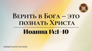 "Верить в Бога - это познать Христа", кафедральное послание 08.12.2024