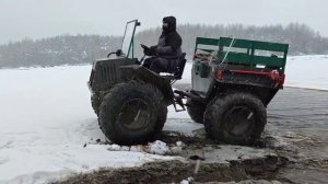 Каракат охотник