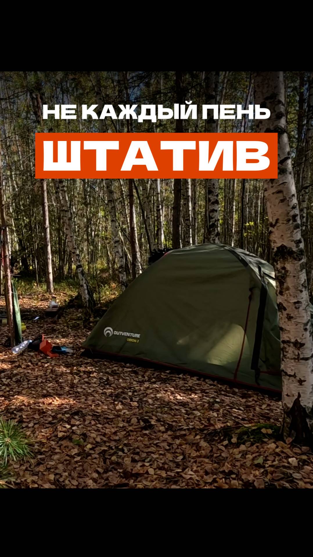 Не каждый пень штатив😄