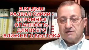 Я.КЕДМИ: Россия не собирается воевать за Сирию, если Сирия не собирается воевать за себя