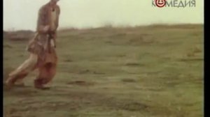 Ограда -  не преграда