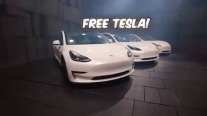 ШОК! МИСТЕР БИСТ РАЗЫГРАВАЕТ УЧАСТНИКАМ 250 ТЫСЯЧ ТОНН ТРАТИЛА
