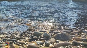 Звуки природы. Фильм 6. Ручей и море Sounds of Nature. Movie 6. The Stream and the Sea